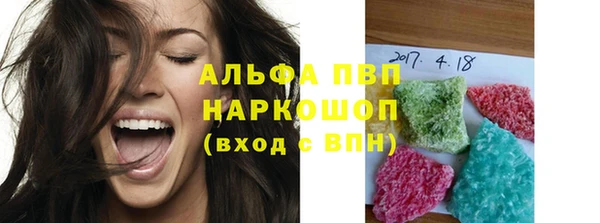 индика Краснотурьинск