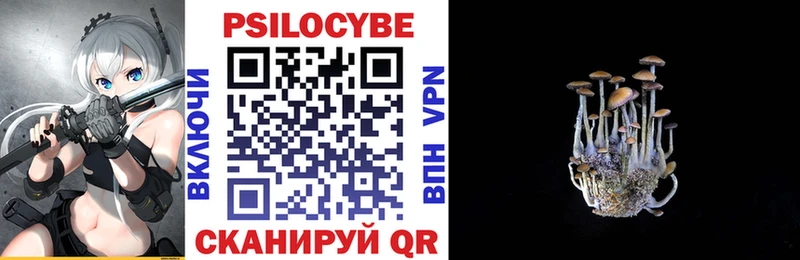 цены   Ворсма  Галлюциногенные грибы Cubensis 